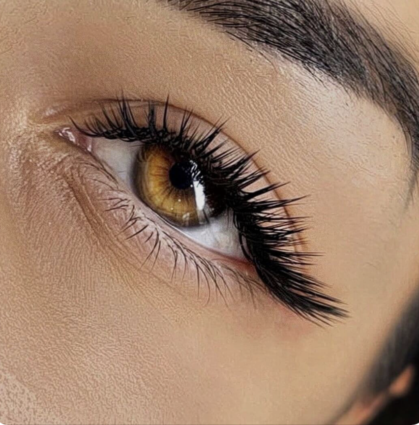 eyrlash